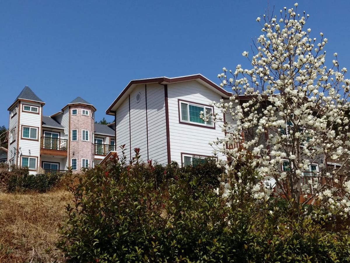 Beljari Tongyeong
