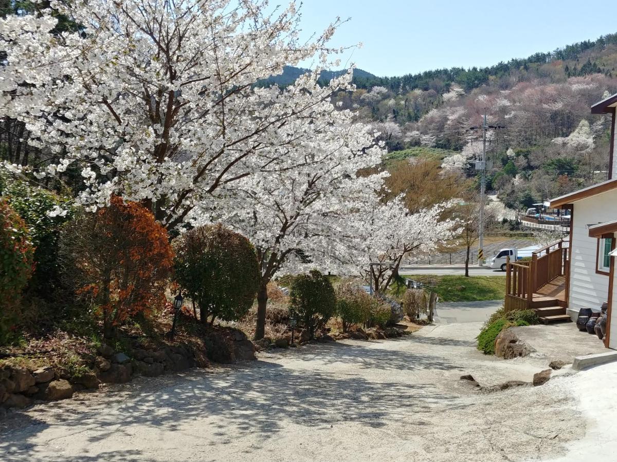 Beljari Holiday home Tongyeong